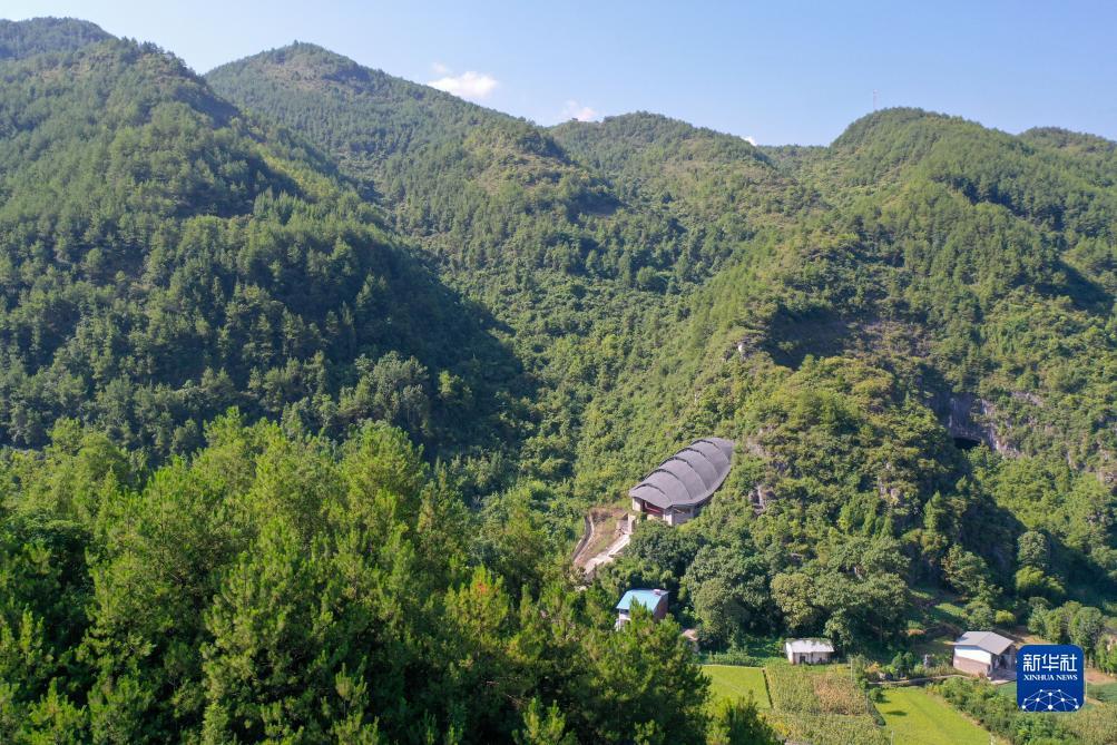 威尼斯游戏